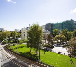 Номер улучшенный с 1 двуспальной кроватью и диваном в Базис-М