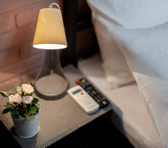 2-комнатные апартаменты люкс в RentPlaza