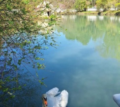 Номер Comfort с 2 комнатами с балконом в У Марины