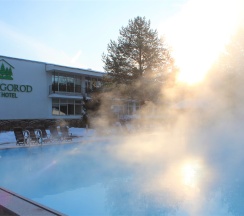 Одноместный стандарт (корпус 2) в Zvenigorod