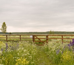 Домик "ПОЛЕ" в Petra eco village