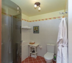 Двухместный полулюкс двуспальная кровать в Губернский