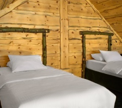 Вилла Люкс в Маральник Altai Palace