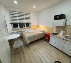 2-местный 1-комнатный номер студия стандарт в Апарт-отель