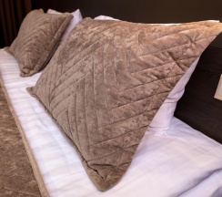 Номер люкс с 1 двуспальной кроватью в Moon