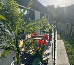 Двухуровневый Джуниор сюит - с выходом на террасу в Игуана