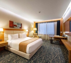 Двухместный номер Standard с частичным видом на море 2 отдельные кровати в Holiday İnn