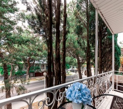 Двухместный Стандартный номер с двуспальной кроватью и балконом в гостевом доме SV на 2 этаже в Милка