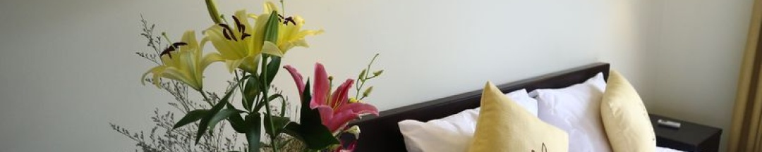 Двухместный номер Standard с балконом двуспальная кровать в Hoi An Cottage Villa