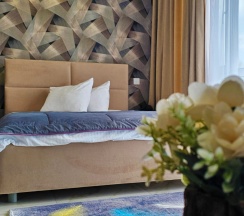 Одноместный номер Делюкс в Family room