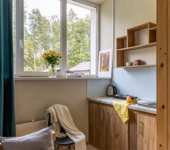 Одноместный номер Стандарт с общей ванной комнатой в Лебяжье