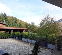 Апартамент ЭДЕЛЬВЕЙС - студия с панорамой на горы в Панорама Ачишхо