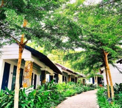 Одноместный номер Standard с видом на сад односпальная кровать в Santa Garden Resort