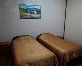 Стандарт Twin1 в Версаль