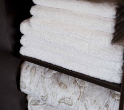 2-местный 1-комнатный номер люкс улучшенный в Ника