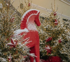 Люкс с видом на канал Грибоедова в Гимназия №5