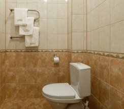 Номер полулюкс с 1 двуспальной кроватью в Djump hotel