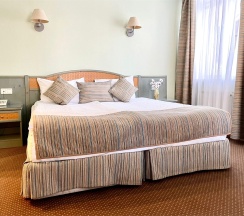 Двухместный бизнес номер (№101-105) в Владимирский дворик