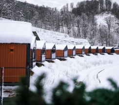 Коттедж в Эндемик