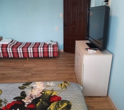 Семейный двухкомнатный с кухней пятиместный в Тифлис