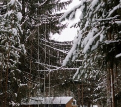 Барнхаус №1 в Илеть