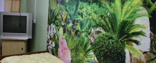 1-местный номер эконом в Селенга