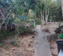 Двухместное бунгало (2 отдельные кровати) в Phi Phi Jungle Hill Bungalow