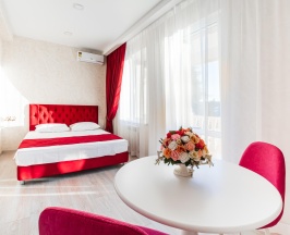 Номер стандарт с 1 двуспальной кроватью в Олимп