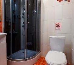 7 Люкс (двухместный номер),с двухспальной кроватью и  диваном. в Аппартамент