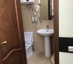 Номер полулюкс семейный с 1 двуспальной кроватью в Камелия-В
