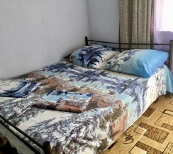 Двухместный номер Standard с балконом и с красивым видом из окна 2 отдельные кровати в Резеда