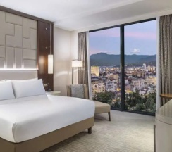 Двухместный номер Guest (двуспальная кровать) в Hilton Batumi