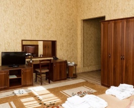 Премиум в Рязань