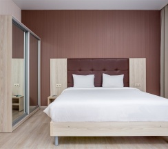 Апартаменты Делюкс с кроватью King-size и раскладным диваном в Tulip hotel apartments