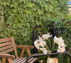 Делюкс с балконом в Пассаж