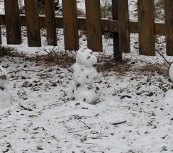Коттедж стандарт (мансарда) в Лесовик66
