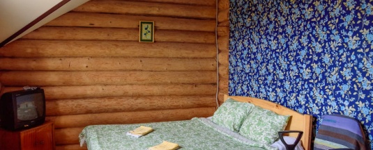 Эконом - "Васильковая комната" в Ясная поляна