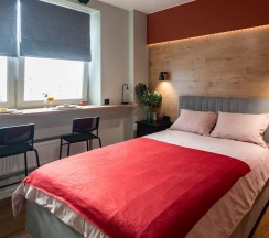 1-комнатный номер эконом в Dream Apartmens