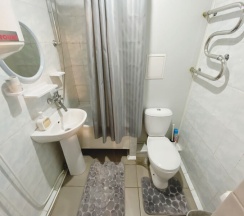 Трёхместный номер Comfort в Новосел