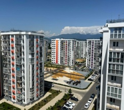 Студия Делюкс (182) в Frukty Rent