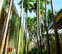 Двухместный номер Deluxe с видом на бассейн двуспальная кровать в Signature Phuket Resort