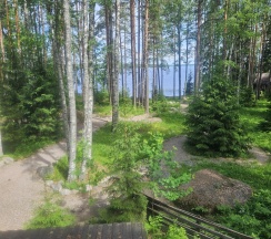 Коттедж стандарт в Black fox