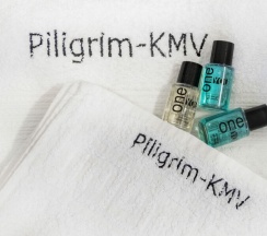 Квартира на улице Пестова 9 Комфорт 2х комн от Piligrim-KMV.ru в Пилигрим КМВ
