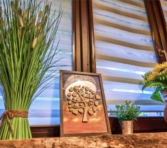 Рубленный дом из кело "Конёк-Горбунок" в Green club family