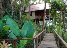 Бунгало Superior с видом на море в Jungle Hill Beach Bungalow