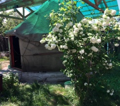 Тент в Turkestan Yurt Camp