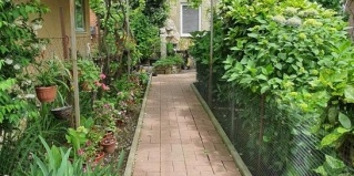 Адлер: Гостевой дом Лаура