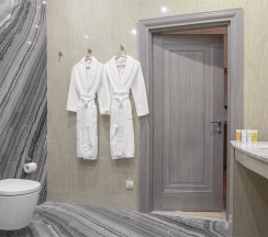 Лебеди в Agent flat