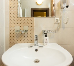 Двух местный Стандарт в Brown hotel
