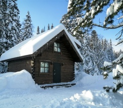 Шале в Alpika house